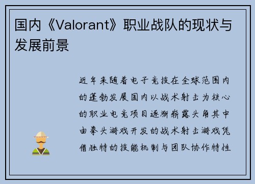 国内《Valorant》职业战队的现状与发展前景